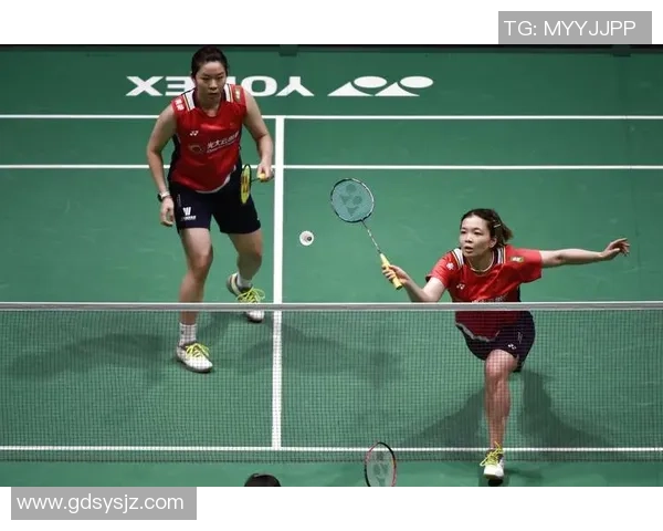 北京羽毛球队总决赛精彩表现分析与节奏掌控的深度点评 北京羽毛球队总决赛精彩表现分析与节奏掌控的深度点评