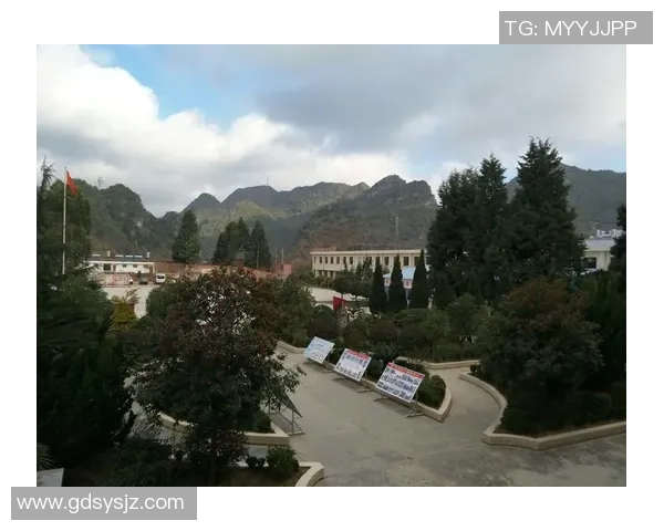 女足球明星的偶像之路：从梦想起航到全球舞台的辉煌成就