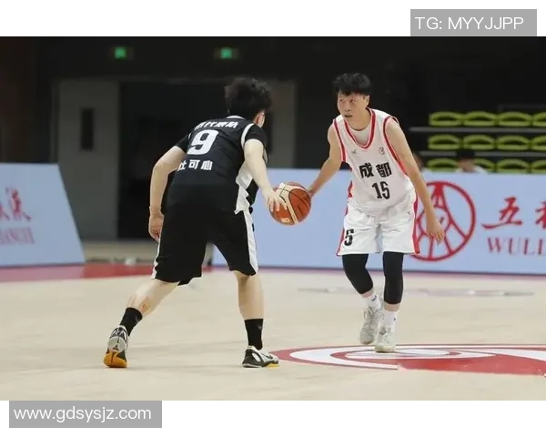 成都与武汉篮球队对决赛后分析与经验总结