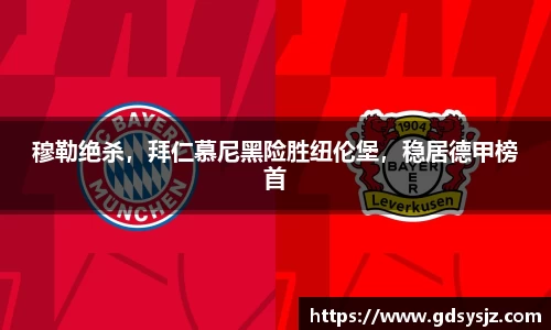 mk体育官网登录平台