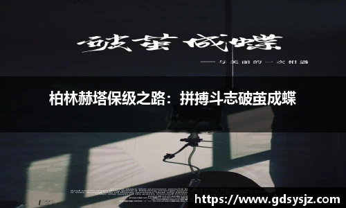 柏林赫塔保级之路：拼搏斗志破茧成蝶