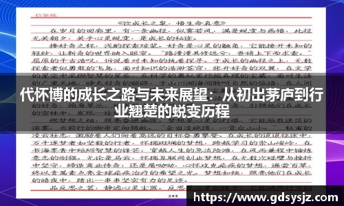 mk体育(MKsports集团)股份公司