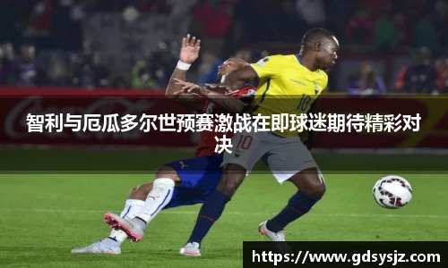 mk体育(MKsports集团)股份公司