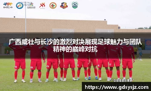 mk体育(MKsports集团)股份公司