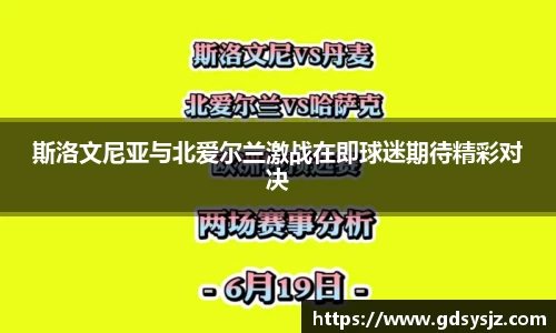 斯洛文尼亚与北爱尔兰激战在即球迷期待精彩对决
