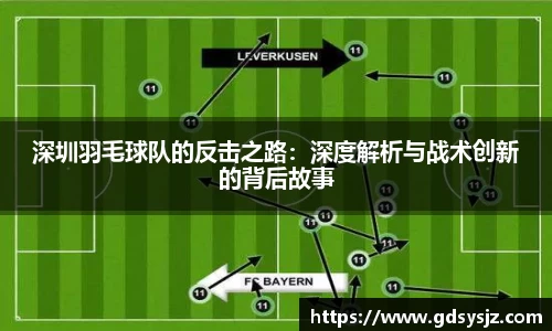深圳羽毛球队的反击之路：深度解析与战术创新的背后故事