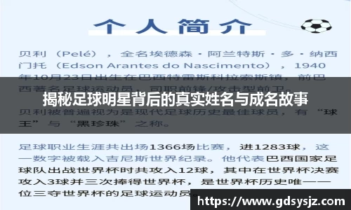 mk体育(MKsports集团)股份公司